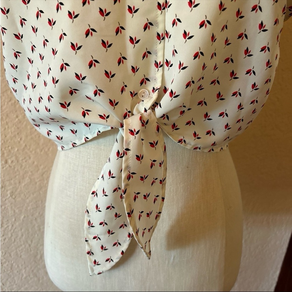American Apparel Tie Front Cropped Button Down Shirt - Picture 5 of 8